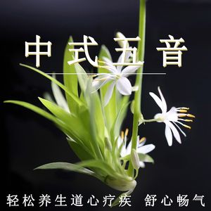 白丝自慰丨vk
